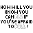 Animated text repeats 'HOW WILL YOU KNOW YOU CAN FLY IF YOU'RE AFRAID TO FALL?' with blue and gray pixel variations across three