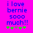 A bright pink background displays blue pixelated text reading "i love bernie 5000 much!!" with green and gray star-like symbols below, showing two animation frames where the third symbol changes from gray to green.