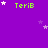 Purple background with green 'TeriB' text and white/purple stars scattered across the frame.