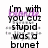 Pixelated text in black and purple on white background with gray block, displaying phrases about 'stupid' and 'brunet' or 'blonde'.
