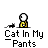 badassbuddy_com-catinpants