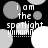 Black background with gray and white circles; text "i am the spotlight" in white pixelated font with horizontal lines below.