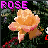 iconhell_rockerflame_text animationa
