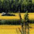 Pixelated static image showing a yellow vehicle on a road with dark green foliage in the background.