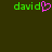 Green pixelated text 'david' with a pink heart replacing the letter 'o', displayed on dark green background.