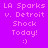 Purple background with pink text reading "LA Sparks v. Detroit Shock Today! :)" and yellow highlight changes across six