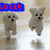Animated sequence of a small dog running with text overlays in blue, cyan, black, and green.