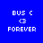 Four identical blue backgrounds with white text 'BUS C', '<3', and 'FOREVER' arranged in a , each with a light blue highlight on one text element