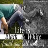 A split image shows a person in teal shirt and gray pants on grass, and a black-and-white figure on stone, with overlaid text reading "Life is Black and White (and you fall in between)".