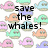 Pixelated image with repeating pastel whale icons and overlaid black text fragments on a white background.