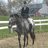 A pixelated static image shows a person riding a horse in an outdoor arena with green grass and white fences.