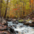 Pixelated landscape with autumn trees and a flowing stream, rendered in warm earth tones and muted blues.