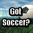 Pixelated image with bold text "Got Soccer?" over a blurred background of green grass, blue sky, and white clouds.