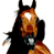 Animated horse icon with two visible frames showing slight head movement against white background, adjacent to static text logo on blue and gray background.