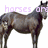 A horse stands in profile with pixelated text overlays reading 'horses are my escape' across four