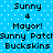 Pixelated blue background with white dots, displaying repeated text elements including 'Sunny', '4', 'Mayor!', 'Sunny Patch', and 'Buckskins' in black block letters.