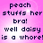 Pixelated text on a pink gradient background with four identical showing 'peach stuffs her bra! well daisy is a whore!' in dark blue font