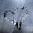A hand forms a heart shape with fingers against a light background, while another view shows the word LOVE written on a palm.