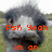A four- shows a pixelated animal face with changing orange text overlays