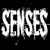 Pixelated white text "SENSES FAIL" on black background with visible dithering and anti-aliasing artifacts, displayed as a single frame in an animated contact sheet.