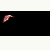 Games icons for AIM, MSN, MySpace and Yahoo