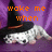 Pixelated image of a white dog wearing a black witch hat with brown band, lying on purple background; orange text reads 'wake me when' and 'halloweens over'.
