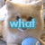 Two Shiba Inu dogs and a Dachshund with overlaid text reading 'what are you lookin at' in light blue letters.