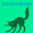 Pixelated green cat silhouette with raised tail and extended limbs on cyan background, text "Sudarshan" in blue pixel font appears multiple times.