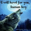 A wolf howls at a full moon with text reading "I will howl for you, human boy." on the left, and a forest scene with text "I will hunt you in my girl skin but celebrate as wolf." on the right.