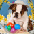 Holiday icons for AIM, MSN, MySpace and Yahoo