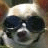 Pixelated static icon of a stylized face with dark sunglasses, light-colored hair or head covering, and visible facial features including eyes, nose, and mouth against a blurred background.