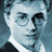 A 4x3 contact sheet of a Harry Potter-themed animated icon showing repeated frames with the character's face and title text "Harry Potter" and "AND THE ORDER OF THE PHOENIX" in blue-toned pixel art.