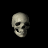A grayscale 3D-rendered human skull rotates through multiple angles against a black background, showing front, side, back, and partial views.