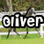 Four horse images in a with overlaid text: 'oliver', 'sykes', 'int.', and 'jordan' in bold white letters with black outlines