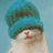 A pixelated cat wearing a teal knit hat with a red nose, positioned against a light blue background, with text overlays reading 'i AM 5000' and 'GANGSTA!!' in pixelated font.