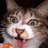 Pixelated close-up of a cat's face with brown and white fur, green eyes, and an open mouth showing pink tongue.
