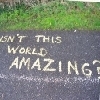 Grass and pavement background with white text reading 'ISN'T THIS WORLD AMAZING?' in a casual handwritten style.