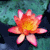 Pixelated flower with orange-yellow center and pink petals against teal and dark blue background.