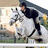 A pixelated image of a person riding a white horse with blue text reading "If you buy me a pony for Christmas I'll love you forever <3".