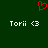 Red pixelated heart symbol above two identical white text labels reading 'Tori' with a stylized '<3' on dark green background.