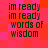 Pixelated text on a red and pink checkered background with repeated phrases 'im ready' and 'words of wisdom' in dark green.