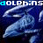 Animated sequence of blue dolphin silhouettes against dark background with repeating text banner above.