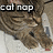 A cat with brown and black stripes lies on a white surface, eyes closed in sleep. Text above reads 'cat nap' in pixelated font.