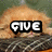 A pixelated orange kitten lies on a striped surface with text overlays changing across frames to form 'GIVE ME MY COOKIE!!' while the final frame shows the kitten's face.