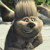 Pixelated cartoon dog with light brown fur, dark brown ears, and a black nose, smiling with visible teeth against a blurred background.
