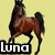 Brown horse with black mane and tail in dynamic pose against yellow background, with text overlays and heart symbol.
