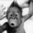 A static image with a green background, red text, and a grayscale photo of an orangutan-like primate in the top-left corner.