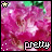 iconhell_kgoleb5_0064