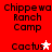 Red background displays four identical with black text 'Chippewa Ranch Camp' and 'Cactus' with star symbols, two show white stars and two show pink stars