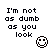 Pixelated black text on white background reads "I'm not as dumb as you look" with a pixel-art smiley face in bottom-right corner.